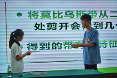 风动体育
